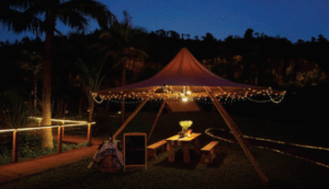 TENT DEPARTMENT لقطة شاشة 2025 12 01 140207