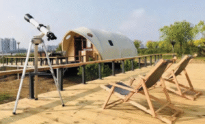 TENT DEPARTMENT لقطة شاشة 2025 12 01 140221