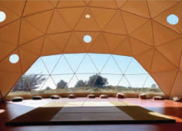 TENT DEPARTMENT لقطة شاشة 2025 12 01 140527