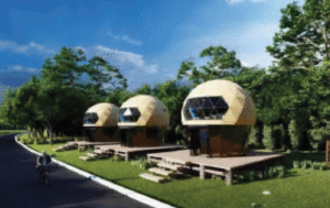 TENT DEPARTMENT لقطة شاشة 2025 12 01 140819